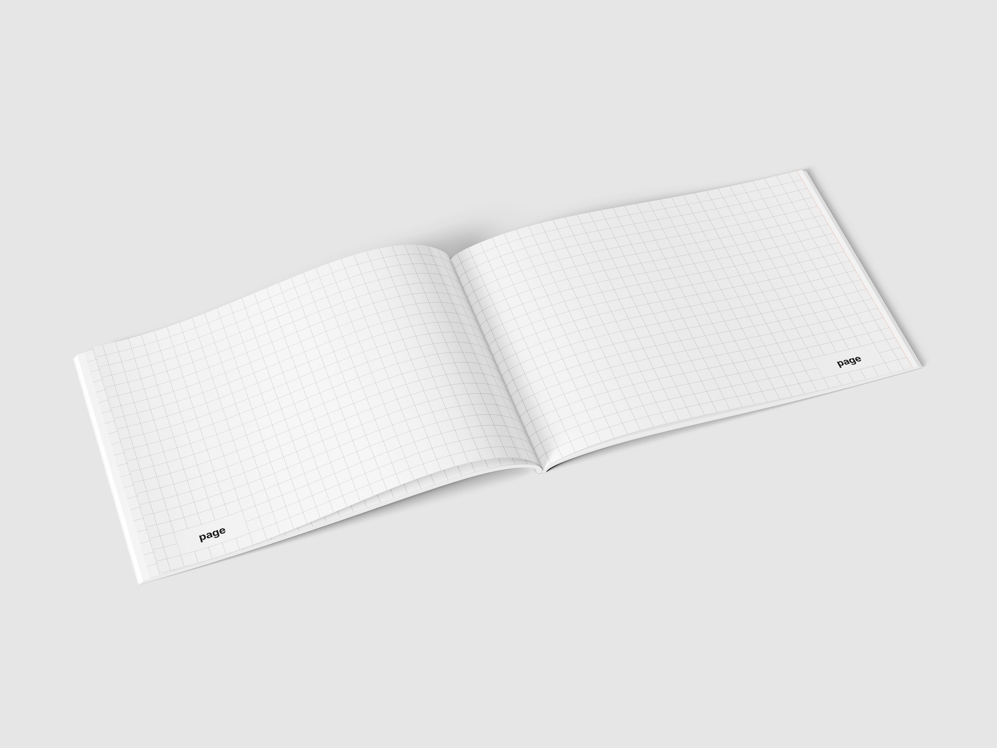 Magazine Mockup, EU Landscape, 06
