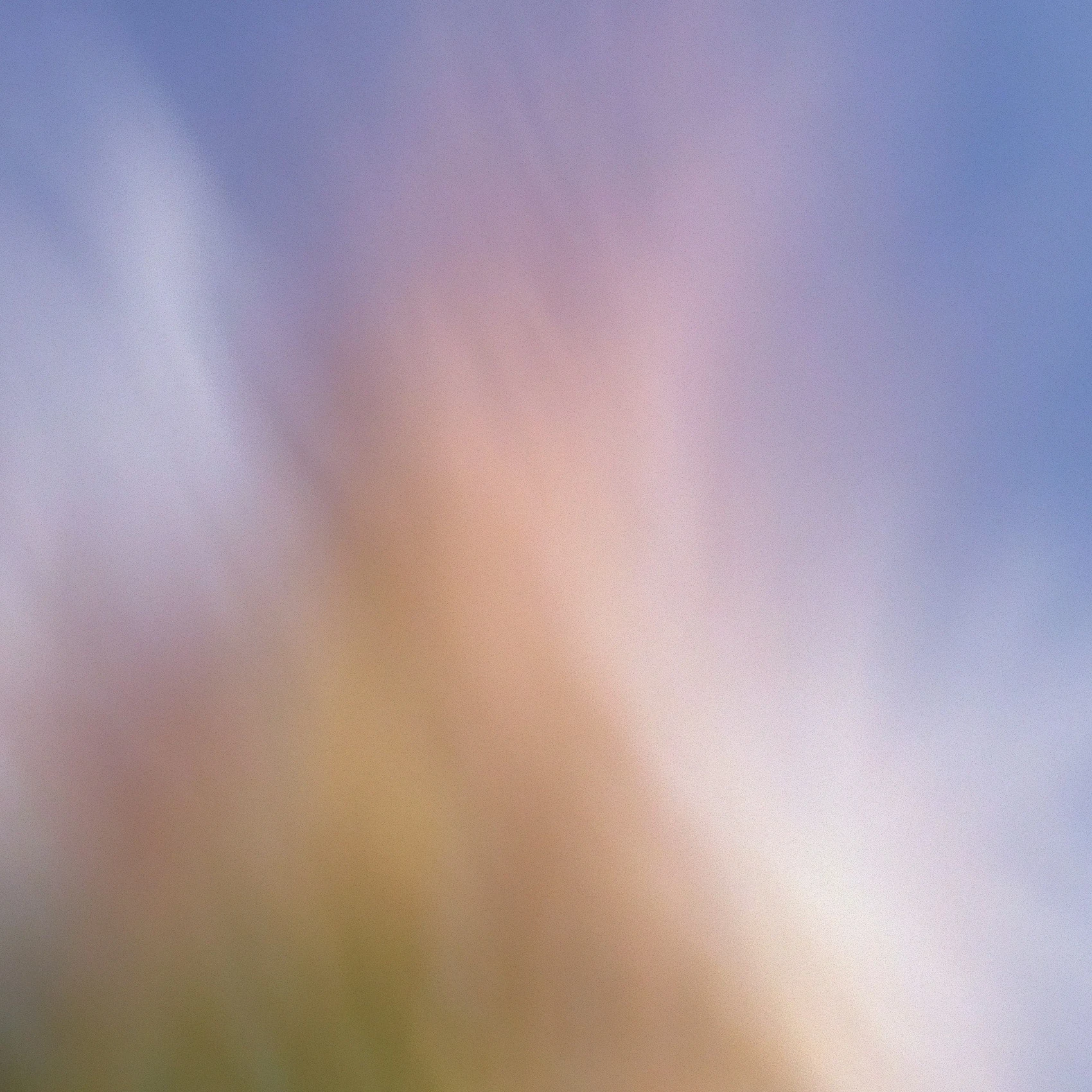 Grainy Blur Abstraction, 26 1