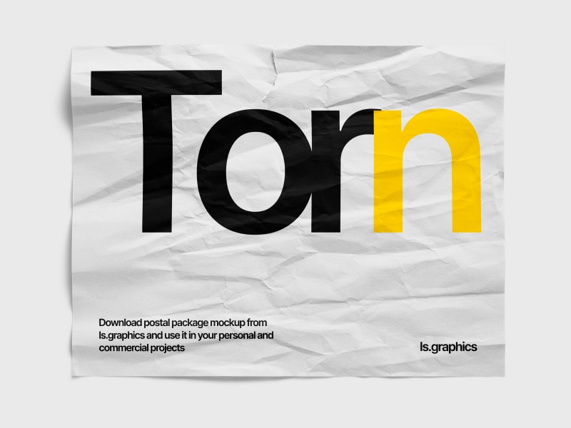 Torn Simple Poster Mockup, US, 11
