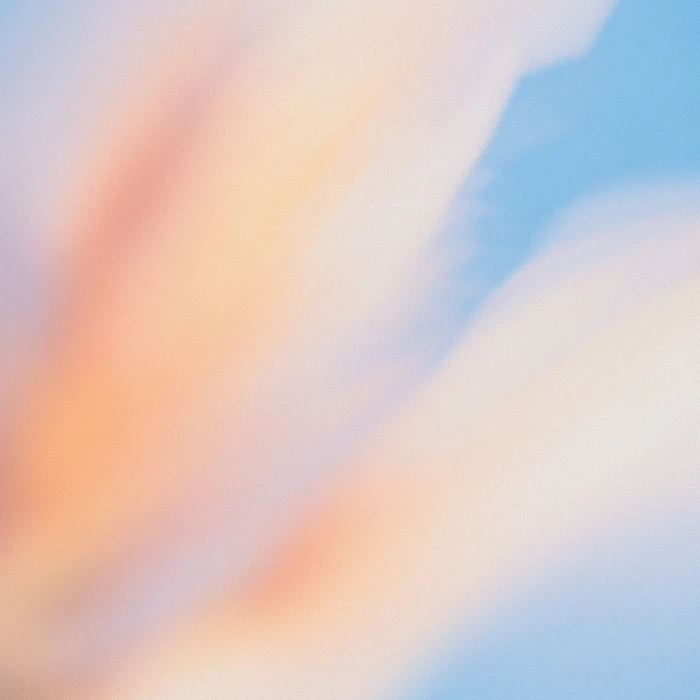 Grainy Blur Abstraction, 2