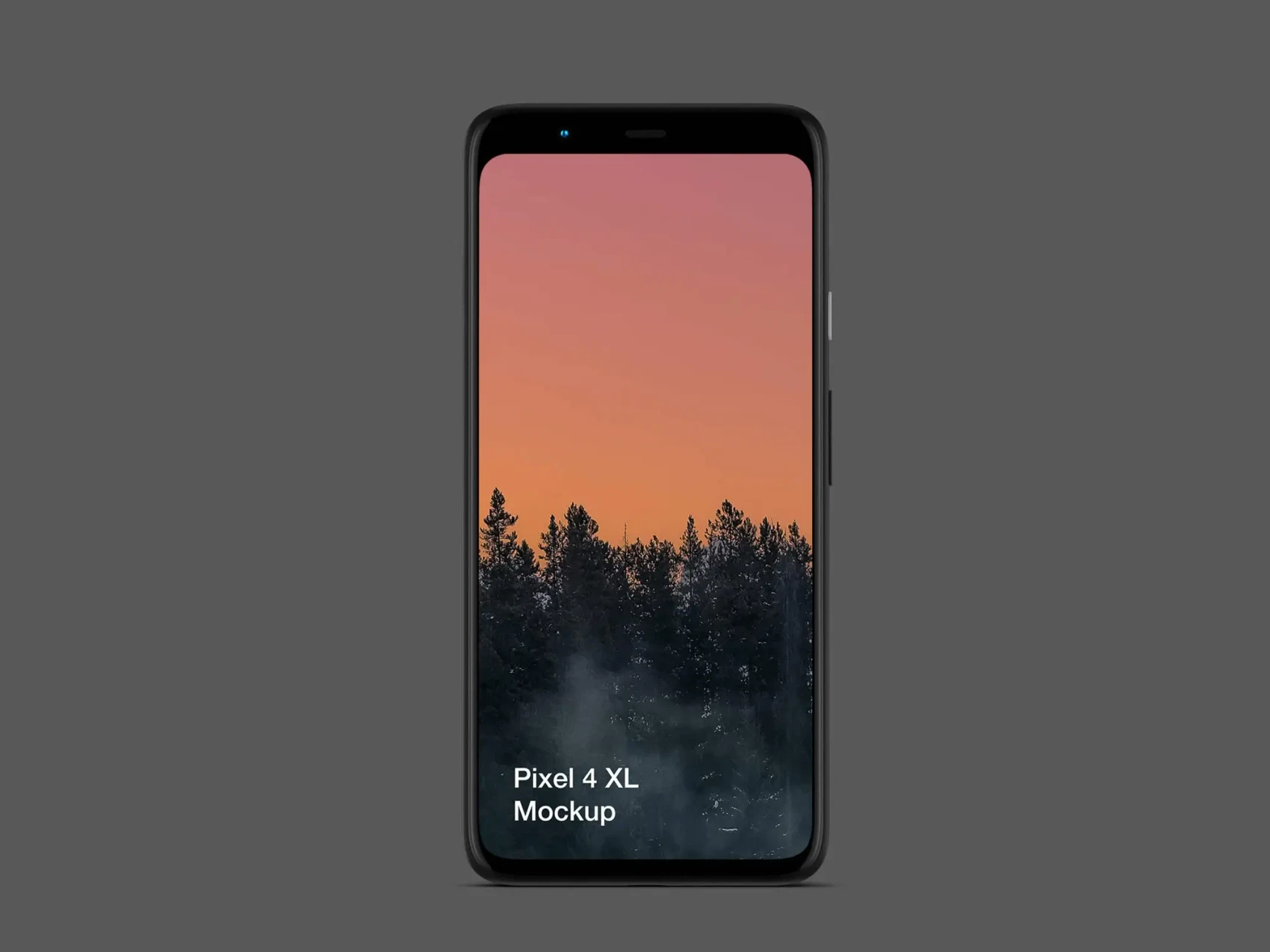 Free Pixel 4 and PixelBook Go Mockup 2